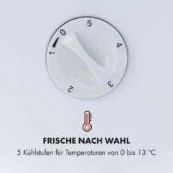 Beersafe L Crystal White Getränkekühlschrank Mit Glastür 47 Liter -Klarstein Verkäufe 10033121 de 0005 logo