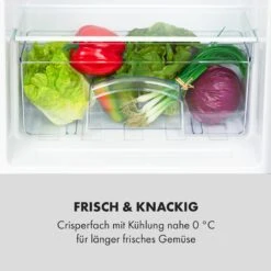 Cool Cousin Kühl-Gefrier-Kombination -Klarstein Verkäufe 10034547 de 0006 logo