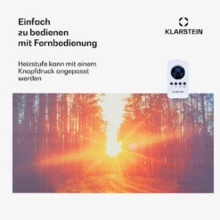 [Gebraucht] Wonderwall Air Art Infinite 720 Infrarotheizung Mit Bild -Klarstein Verkäufe 10035173 de 0004 usp