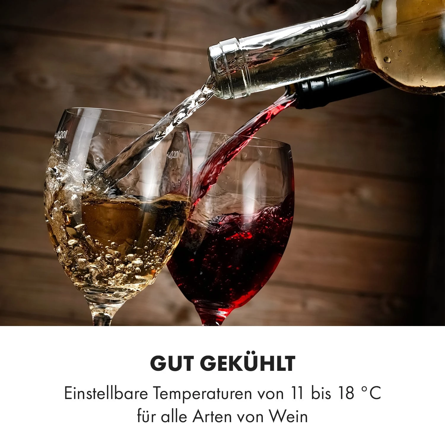 Bellevin 8 Uno Weinkühlschrank 6 Bellevin 8 Uno Weinkühlschrank – Bild 6