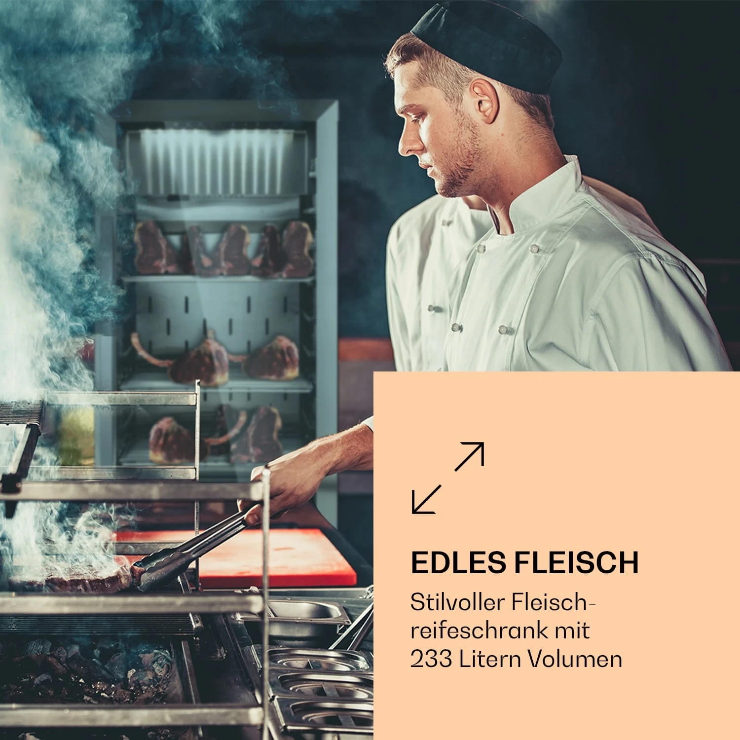 Steakhouse Pro 233 Fleischreifeschrank 2 Steakhouse Pro 233 Fleischreifeschrank – Bild 2