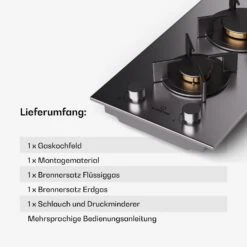 [Gebraucht] Goldflame 2 Gaskochfeld -Klarstein Verkäufe 10045622 de 0008 usp